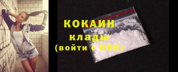 молекула духа Арсеньев