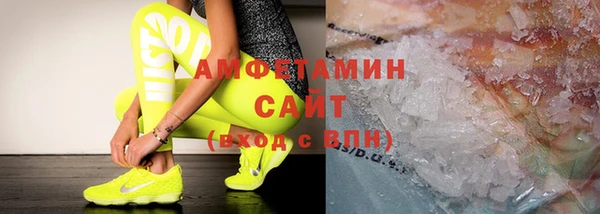 молекула духа Арсеньев