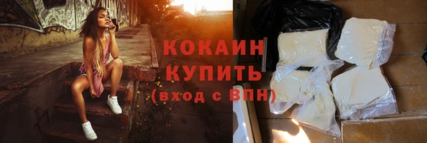 молекула духа Арсеньев