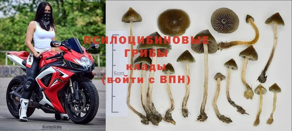 молекула духа Арсеньев