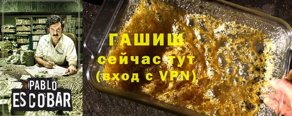молекула духа Арсеньев